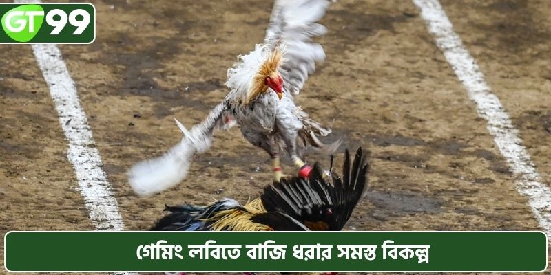 গেমিং লবিতে বাজি ধরার সমস্ত বিকল্প