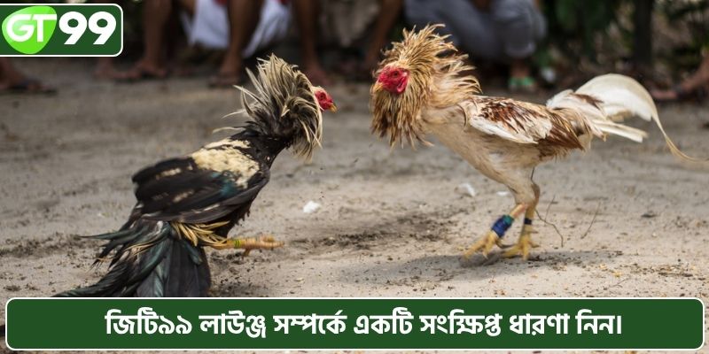 জিটি৯৯ লাউঞ্জ সম্পর্কে একটি সংক্ষিপ্ত ধারণা নিন।