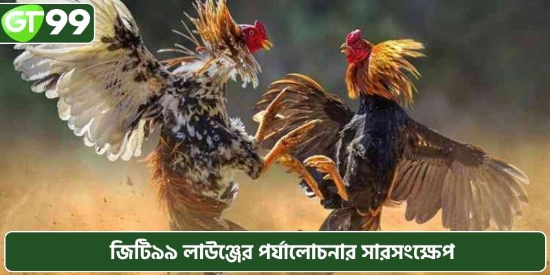 জিটি৯৯ লাউঞ্জের পর্যালোচনার সারসংক্ষেপ