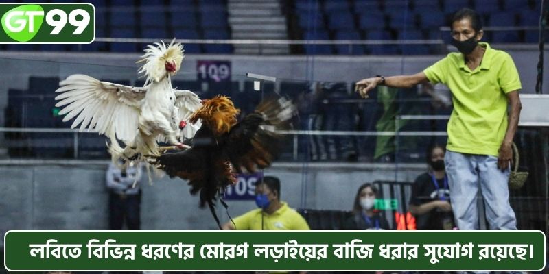লবিতে বিভিন্ন ধরণের মোরগ লড়াইয়ের বাজি ধরার সুযোগ রয়েছে।