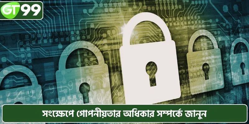 সংক্ষেপে গোপনীয়তার অধিকার সম্পর্কে জানুন